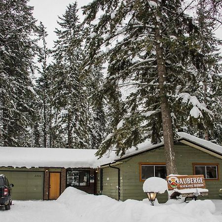 Auberge Kicking Horse Guest House Golden Exterior photo